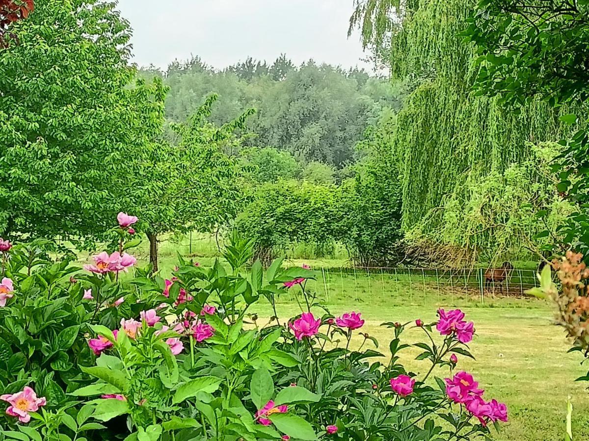Les Chambres Du Vert Galant Rez De Jardin Verlinghem Экстерьер фото